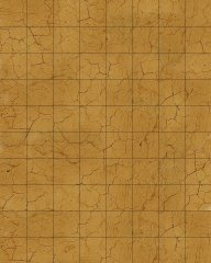 The Desert